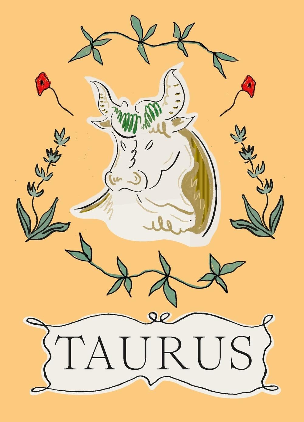 Taurus by Liberty Phi - ISBN: 9781914317941