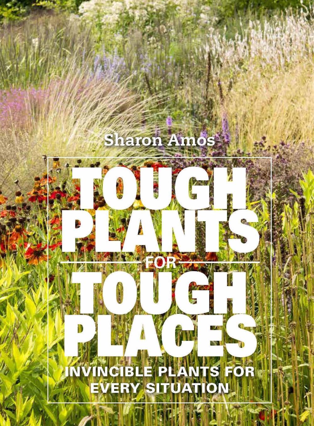 Tough Plants for Tough Places by Sharon Amos - ISBN: 9781914902017