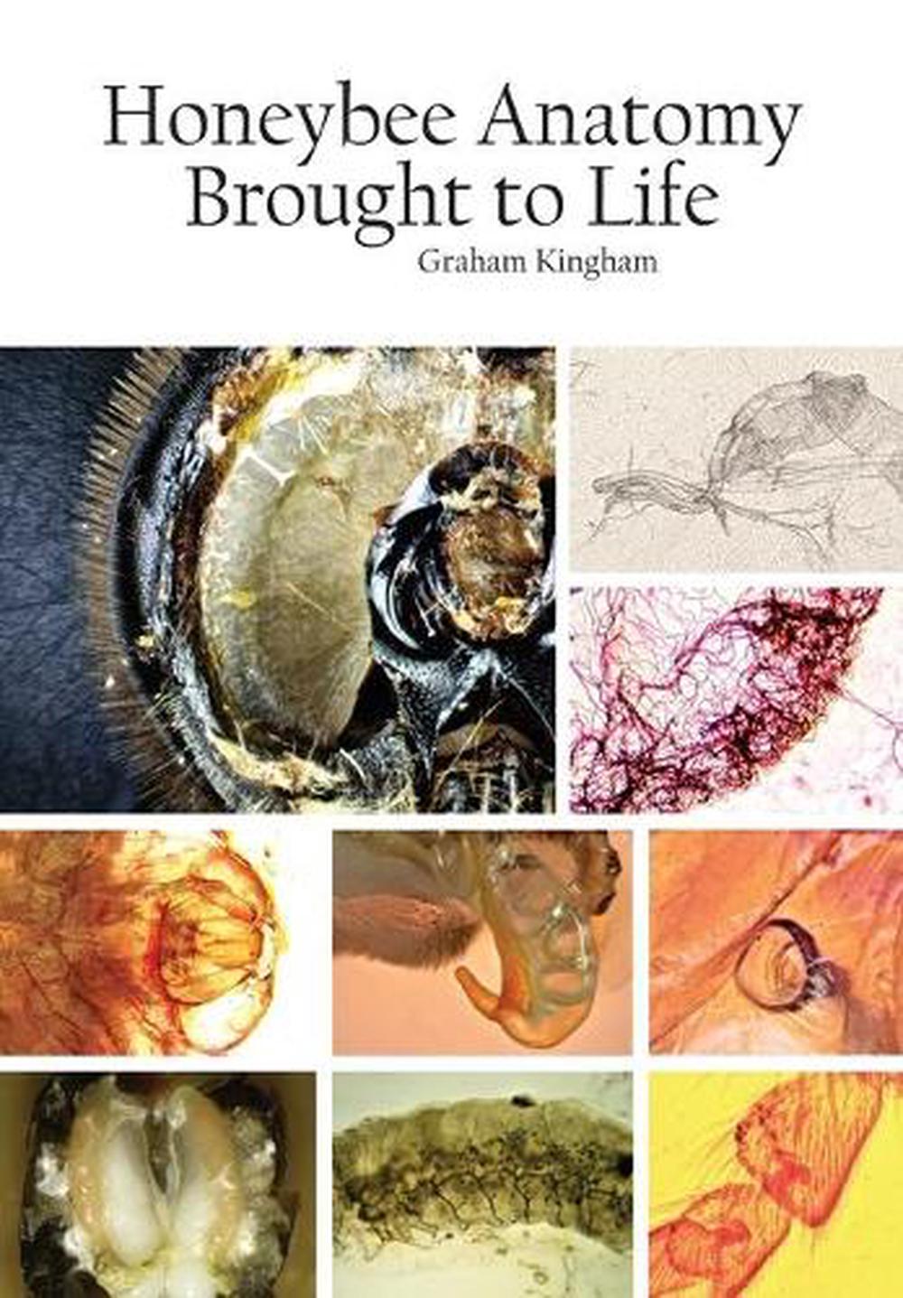 Honeybee Anatomy Brought to Life by Graham Kingham - ISBN: 9781914934124