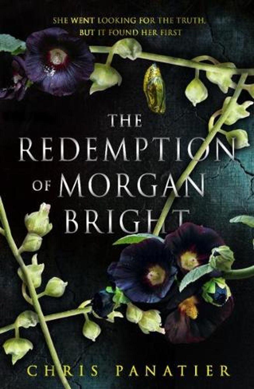 The Redemption of Morgan Bright by Chris Panatier - ISBN: 9781915202895