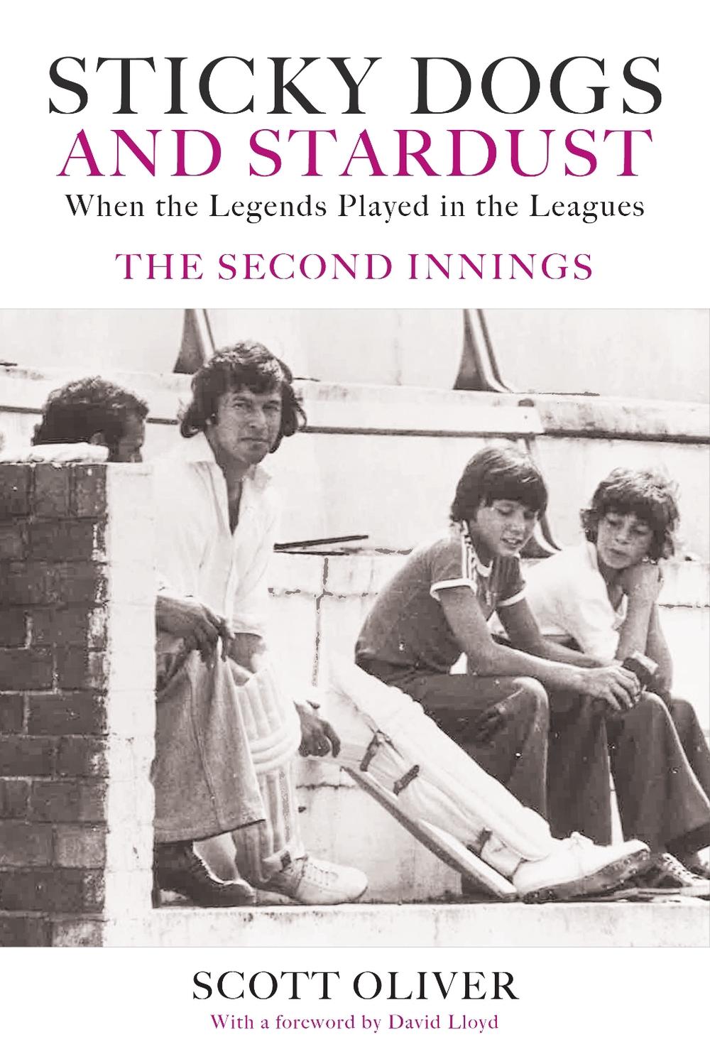 Sticky Dogs and Stardust Volume 2, 9781915237439