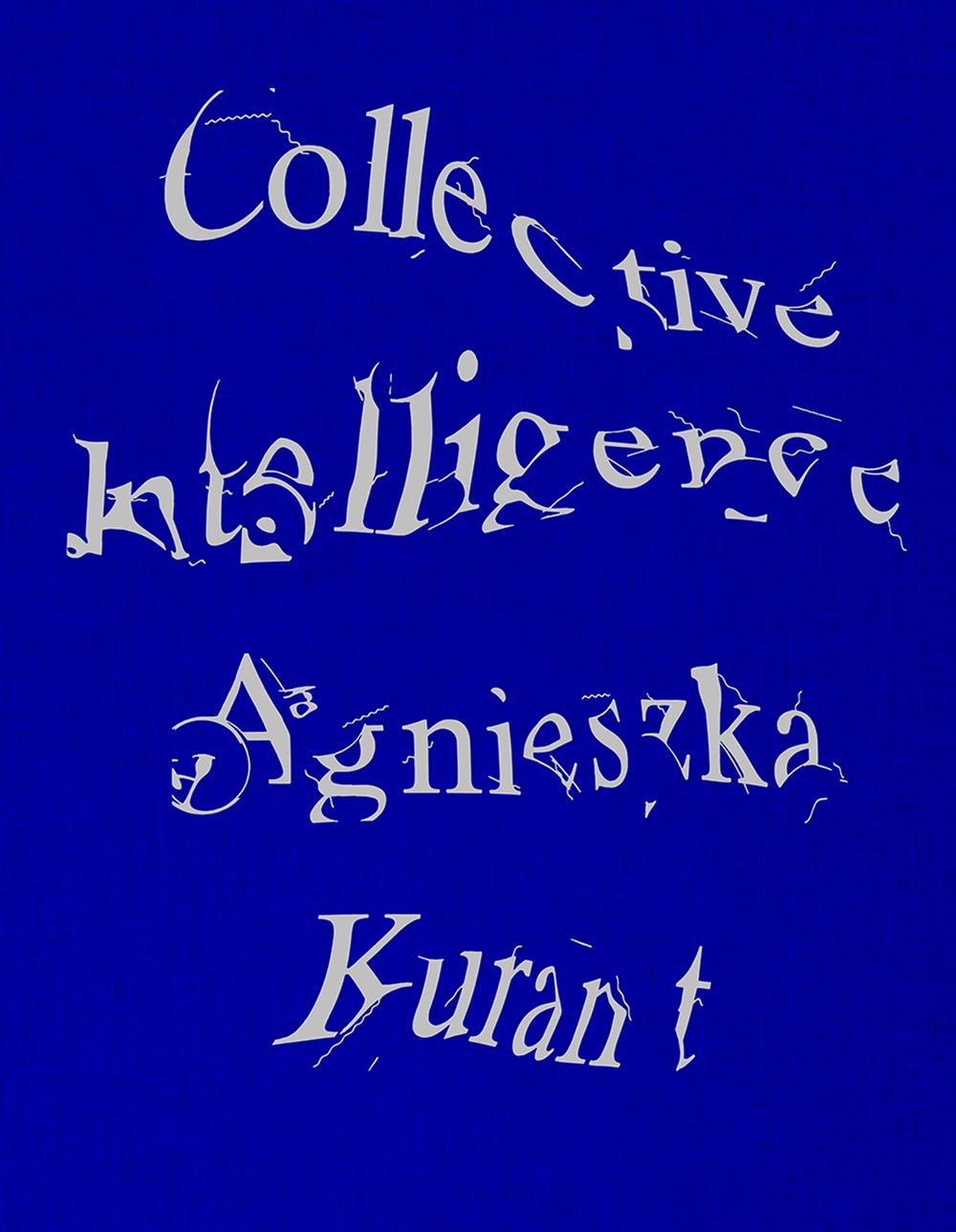 Agnieszka Kurant Collective Intelligence by Stefanie Hessler - ISBN: 9781915609557