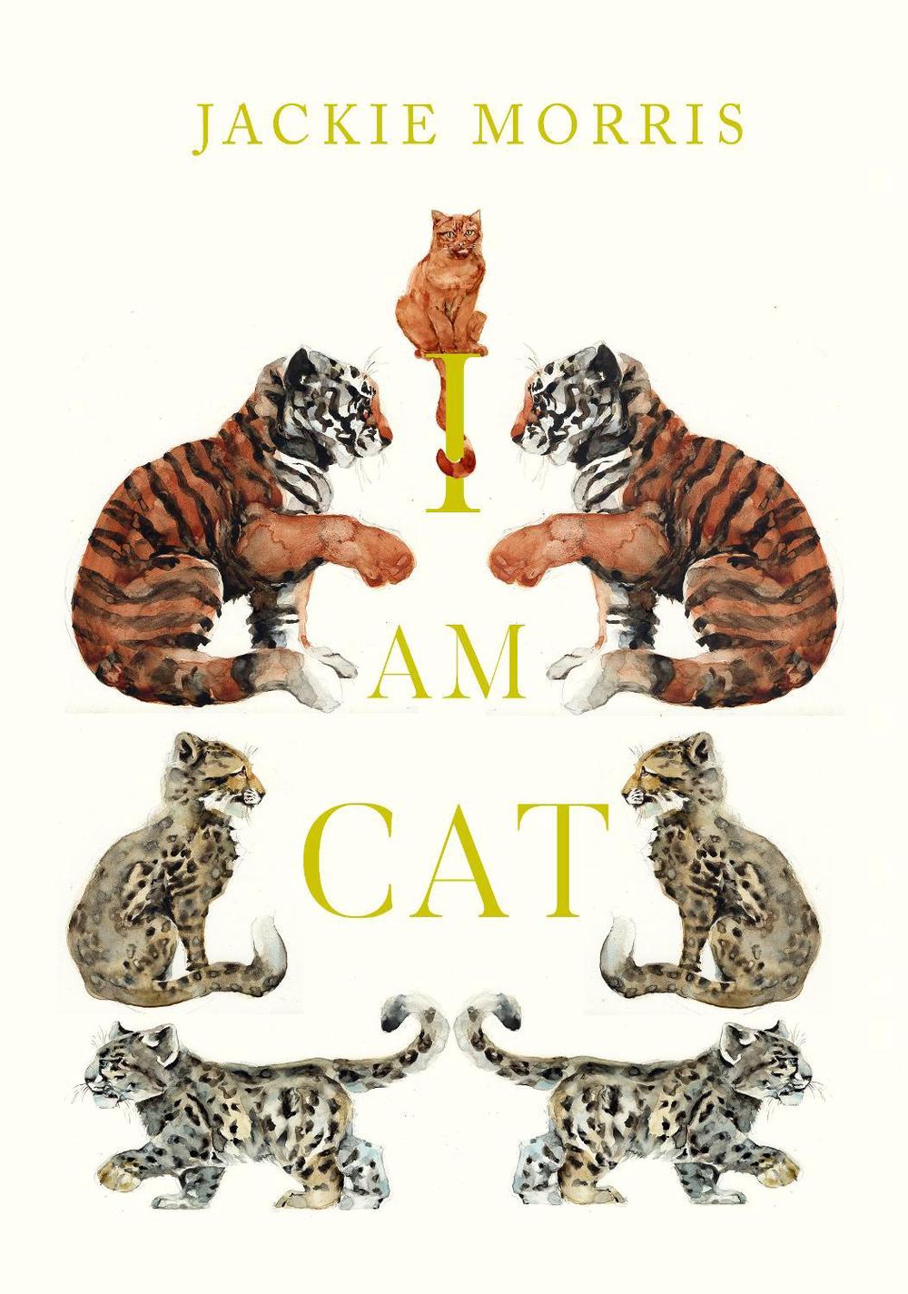 I am Cat, 9781915659415