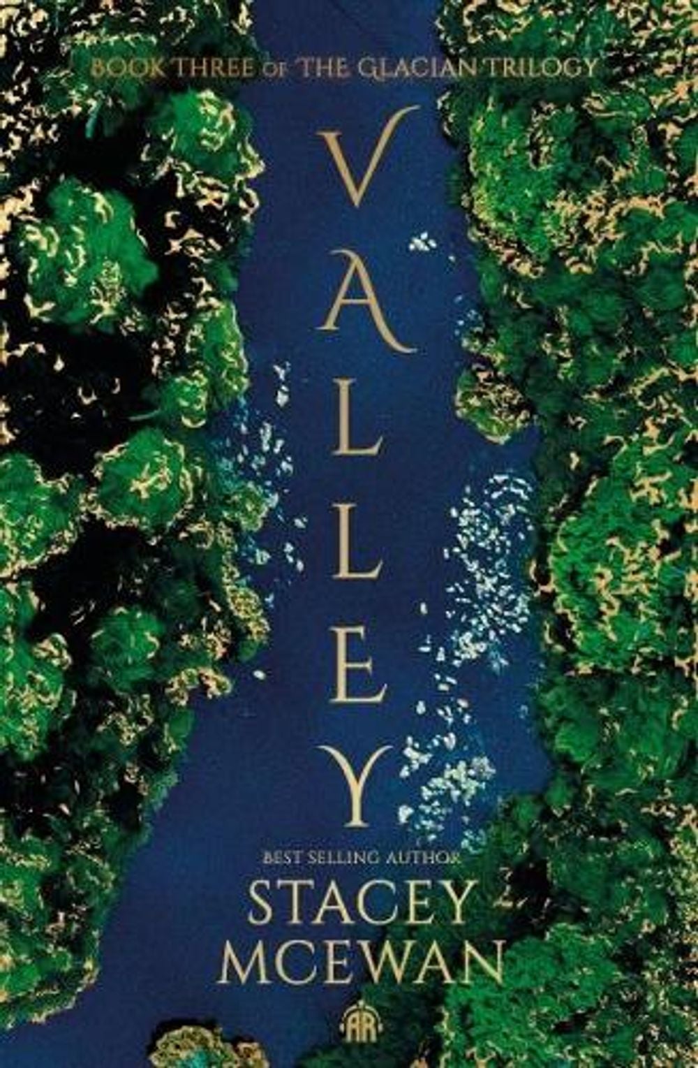 Valley by Stacey McEwan - ISBN: 9781915998613