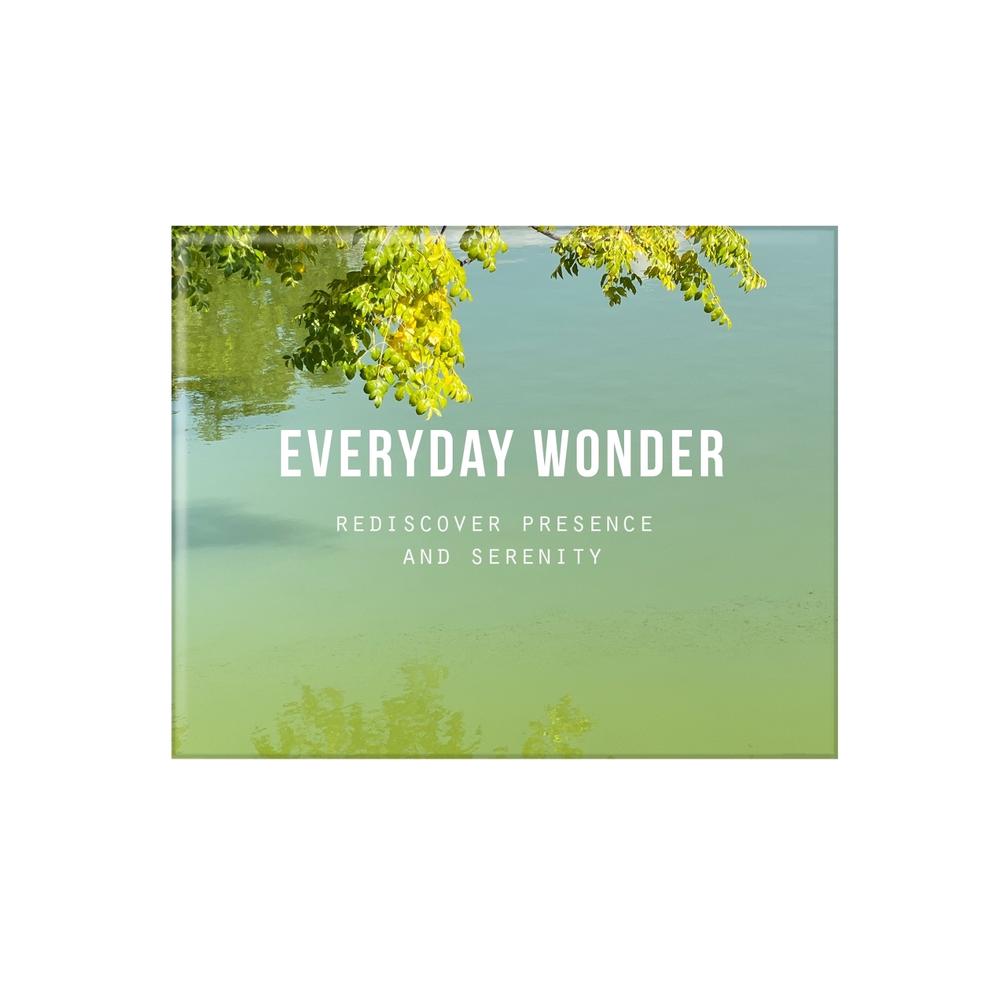 Everyday Wonder, 9781916753488