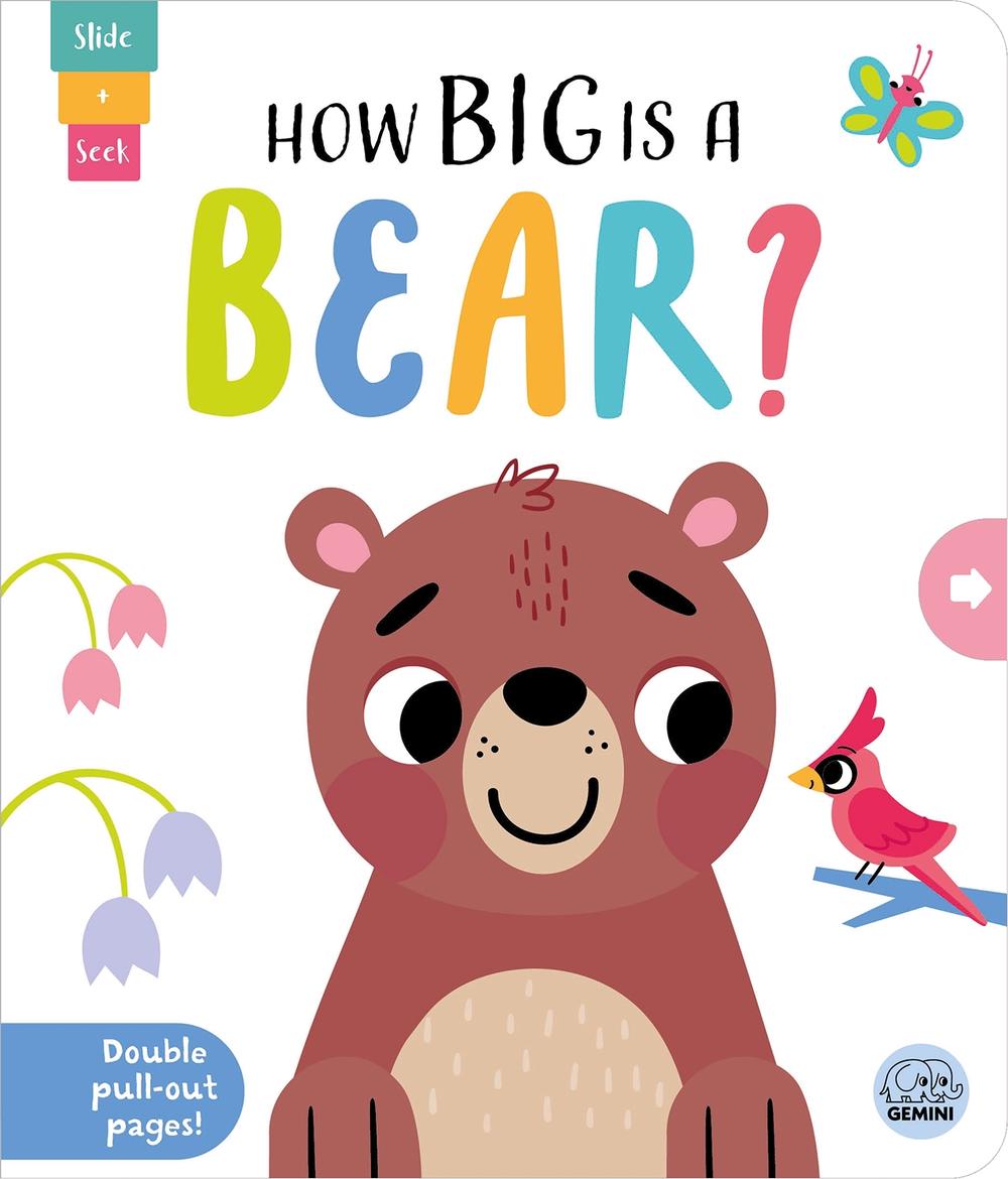 How Big is a Bear? by Lisa Regan - ISBN: 9781917082587