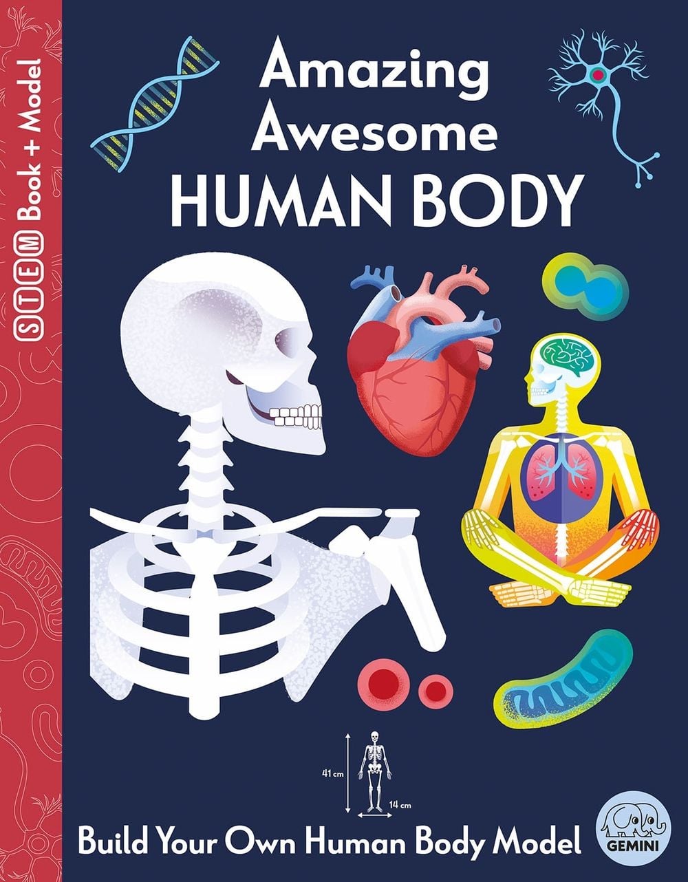 Amazing Awesome Human Body by Susan Mayes - ISBN: 9781917082679