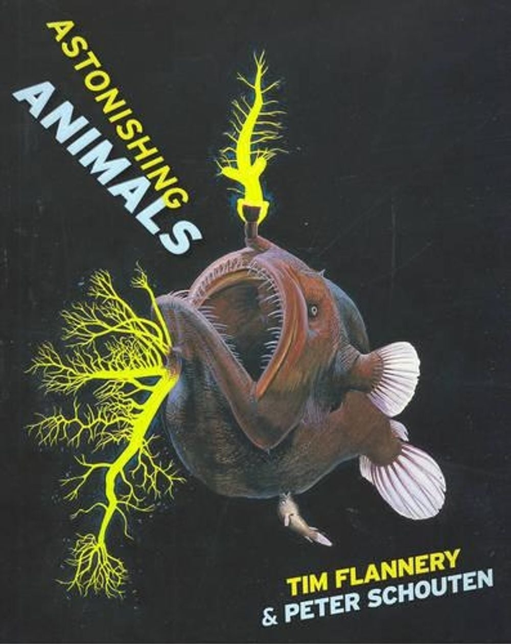 Astonishing Animals by Tim Flannery - ISBN: 9781920885212