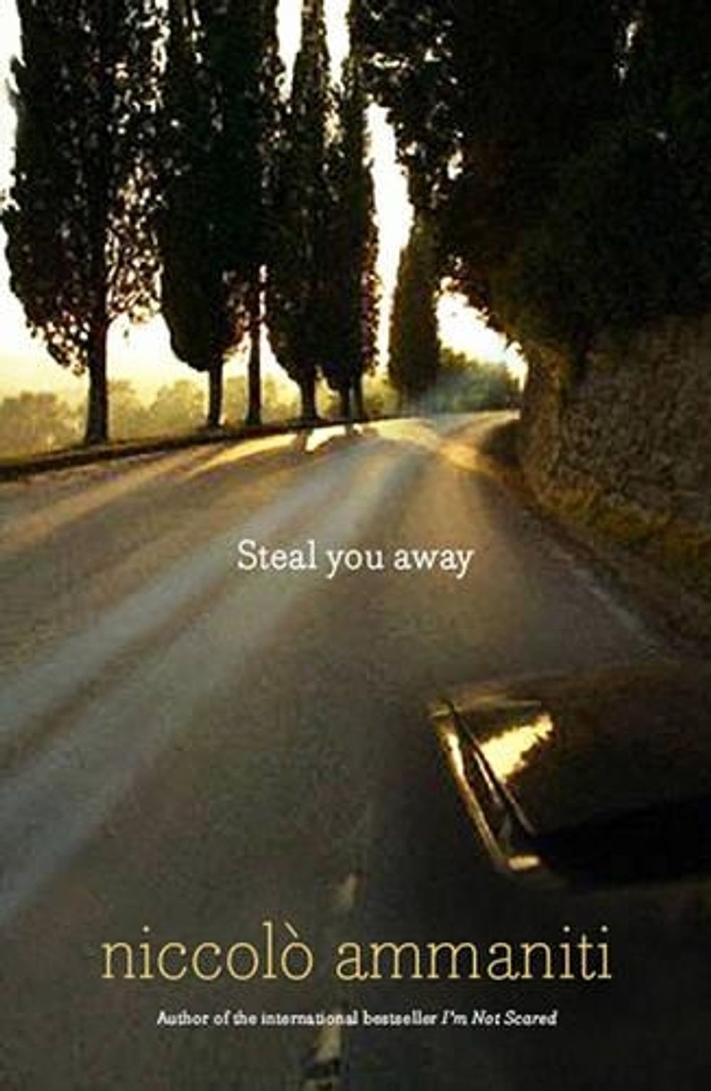 Steal You Away by Niccolo Ammaniti - ISBN: 9781921145827