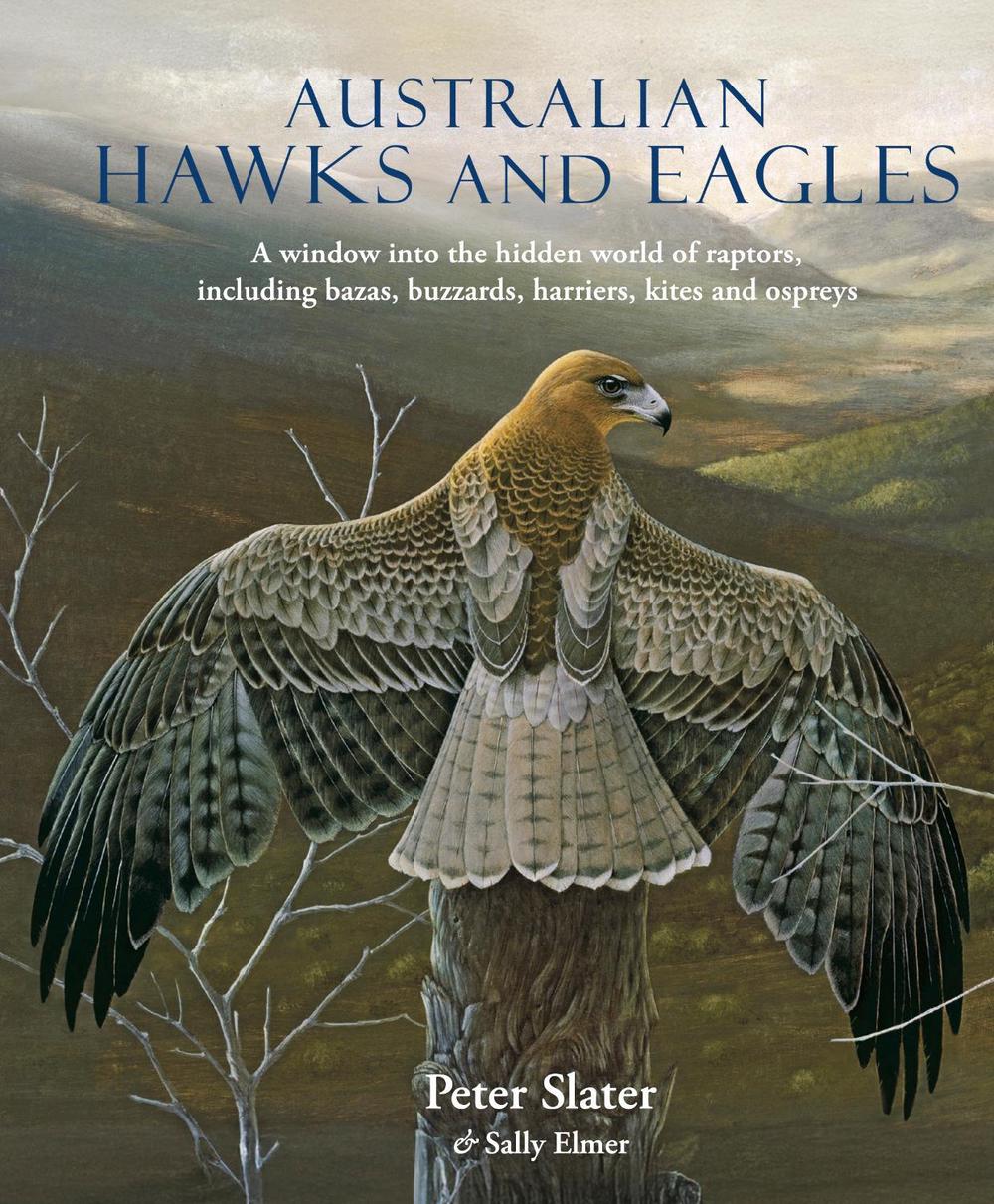 Australian Hawks and Eagles, 9781921517983