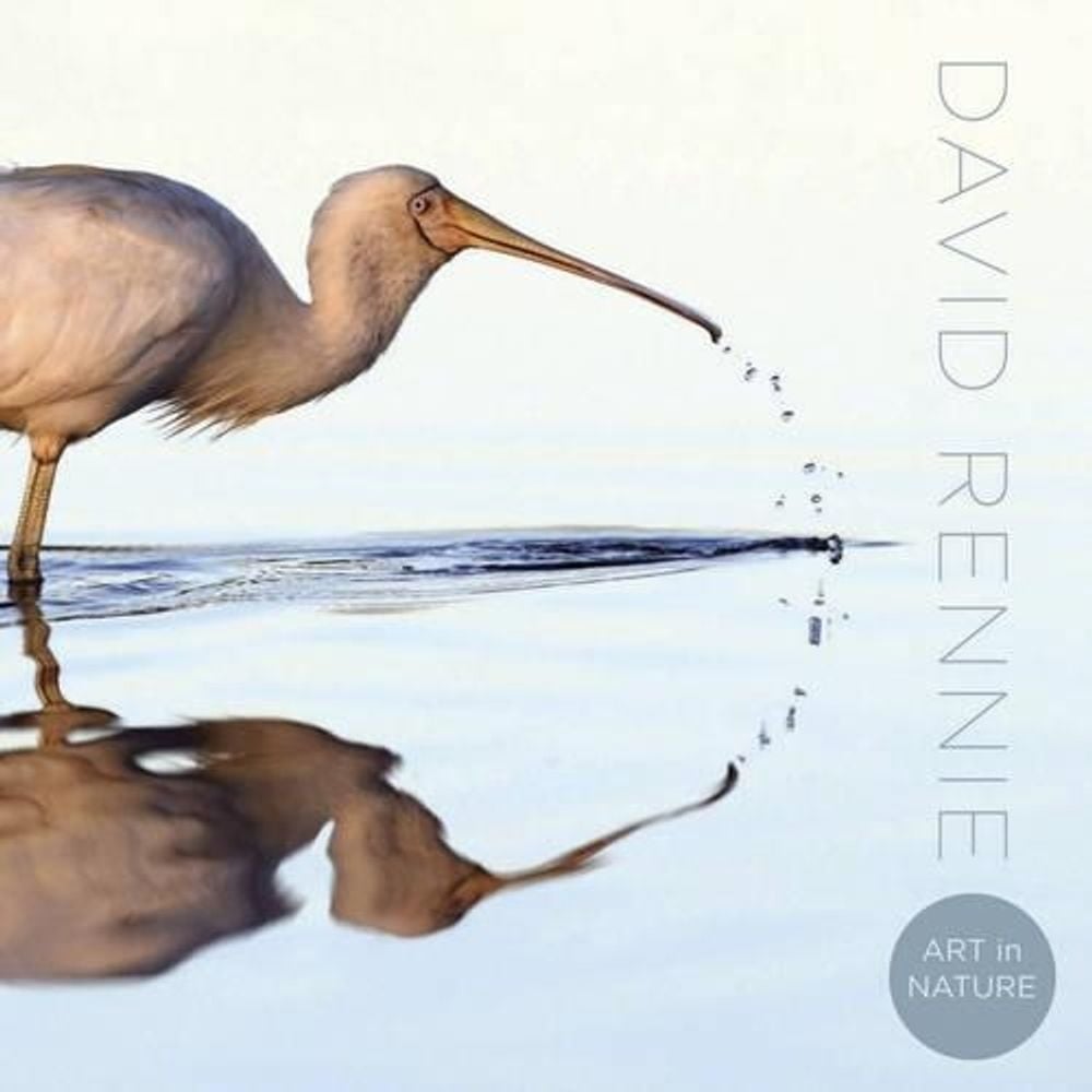 Art In Nature by David Rennie - ISBN: 9781921966637