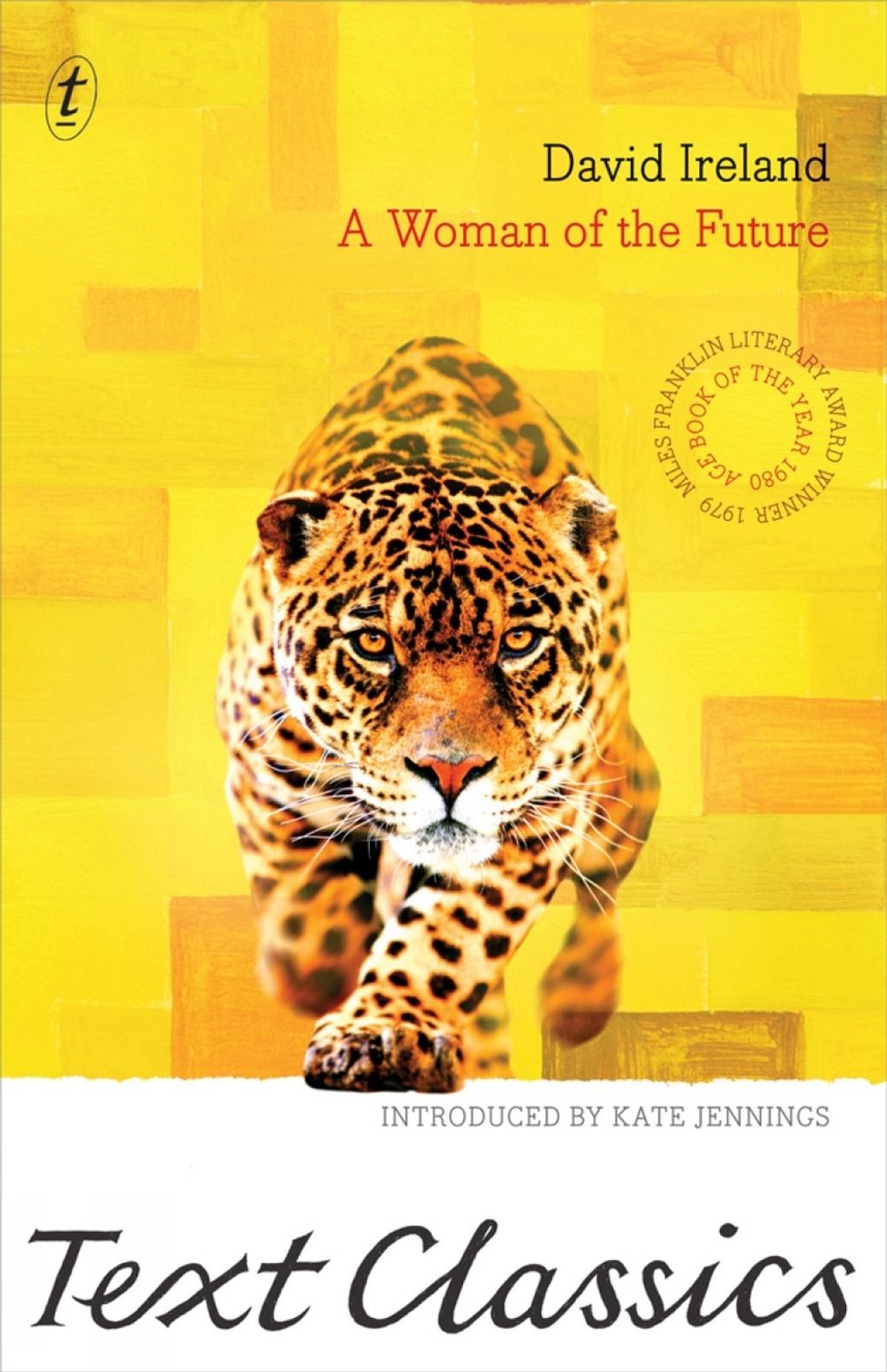 A Woman Of The Future by David Ireland - ISBN: 9781922079824