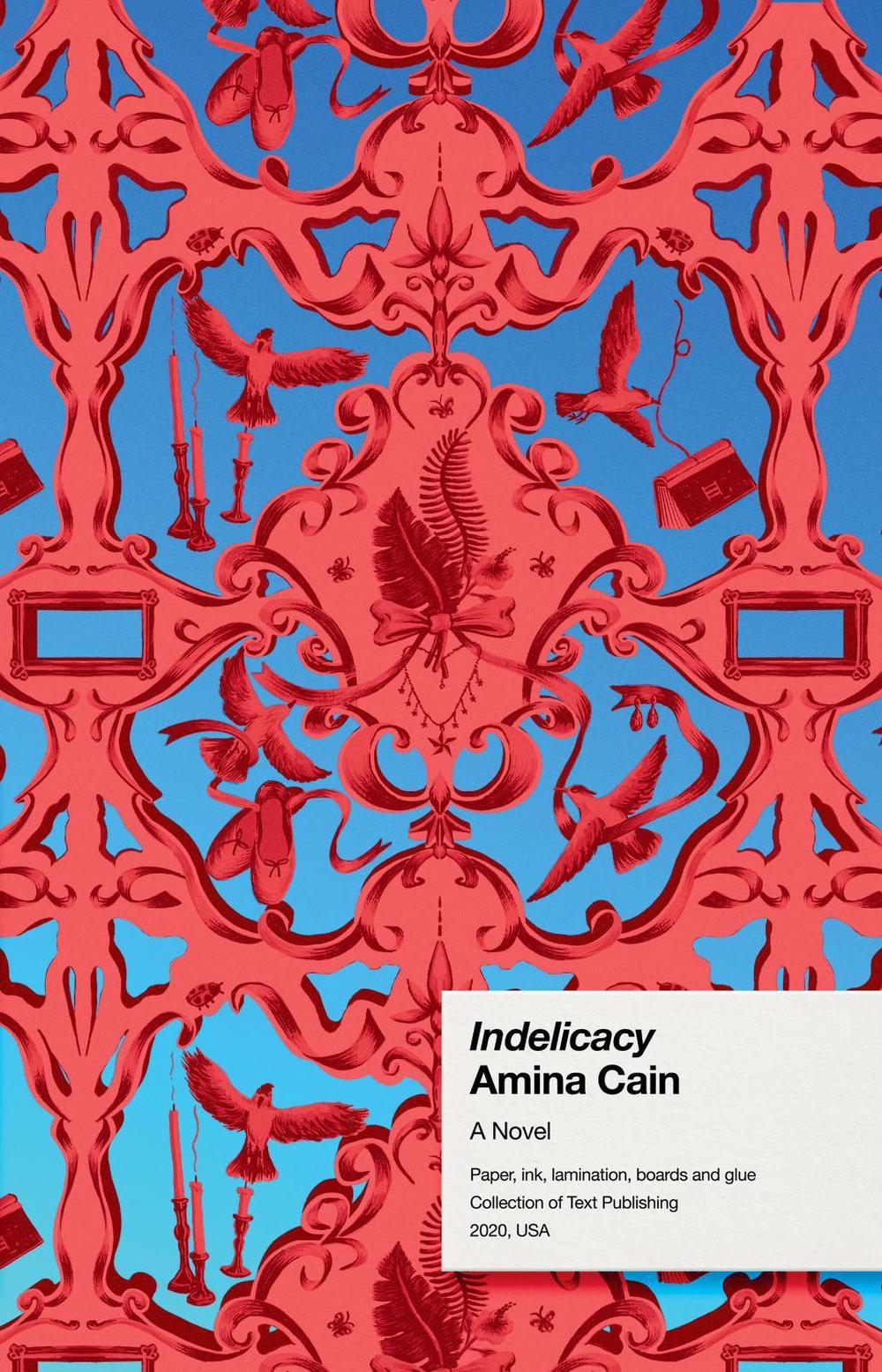Indelicacy by Amina Cain - ISBN: 9781922268518