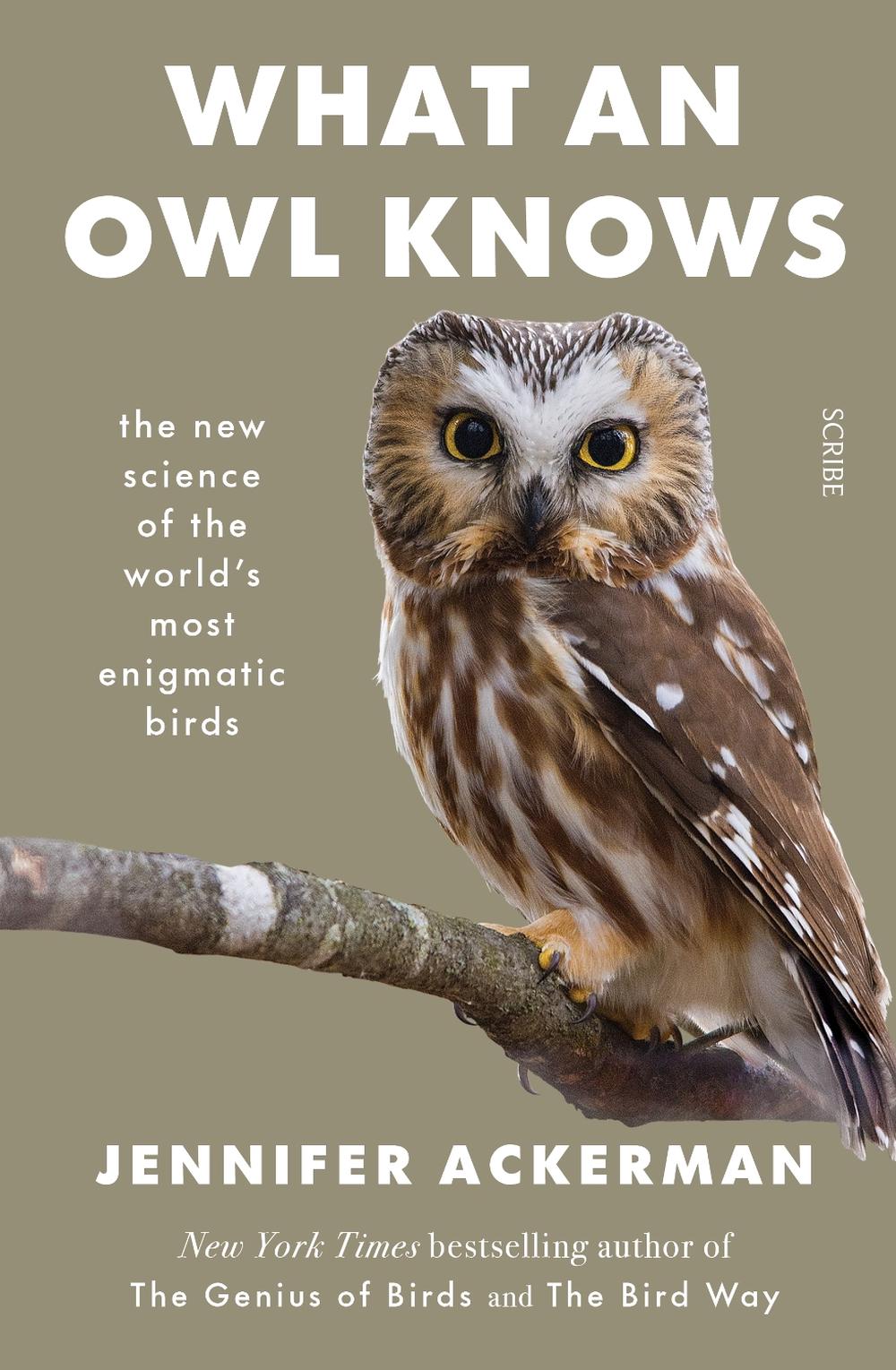 What an Owl Knows, 9781922310682