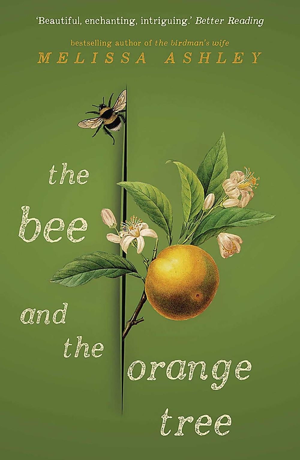 The Bee and the Orange Tree by Melissa Ashley - ISBN: 9781922400321