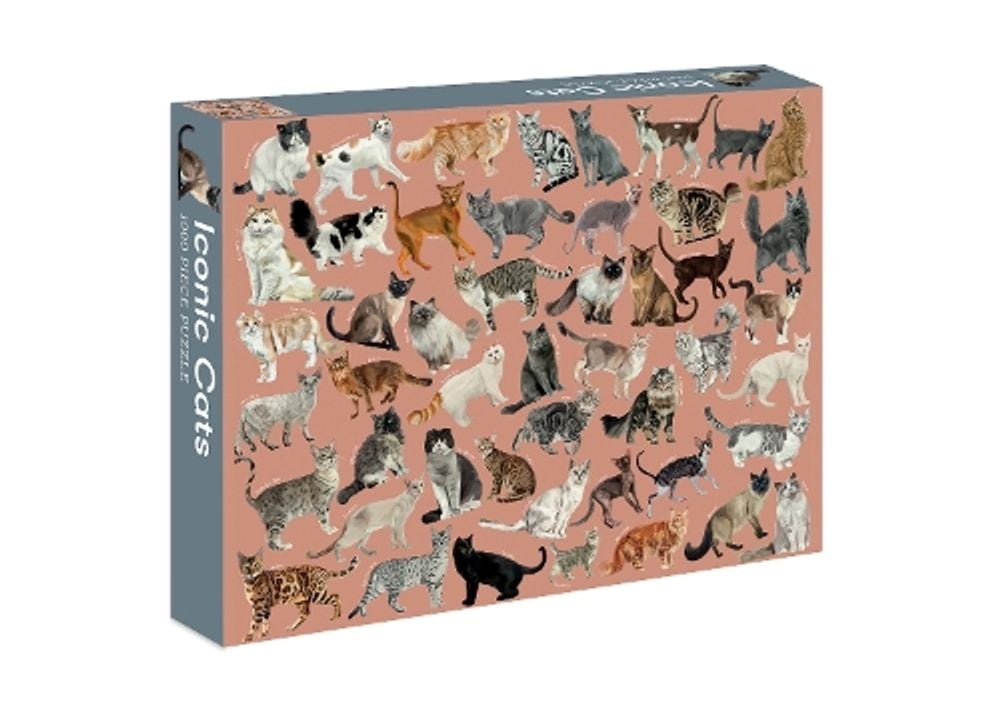 Iconic Cats by Marta Zafra - ISBN: 9781922417749