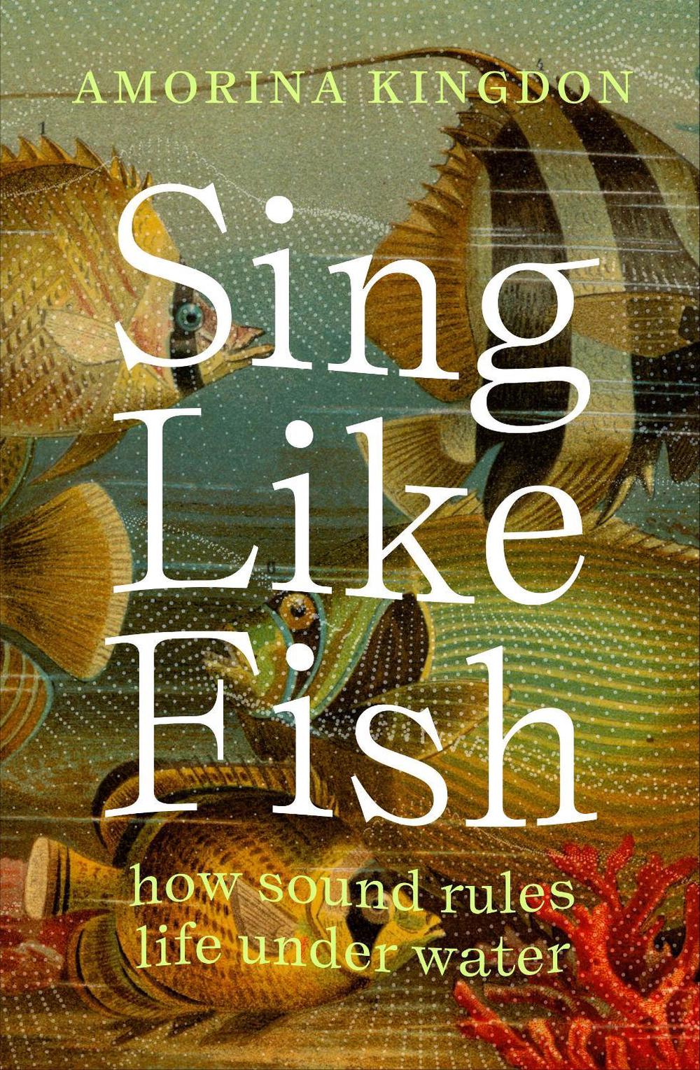 Sing Like Fish, 9781922585370