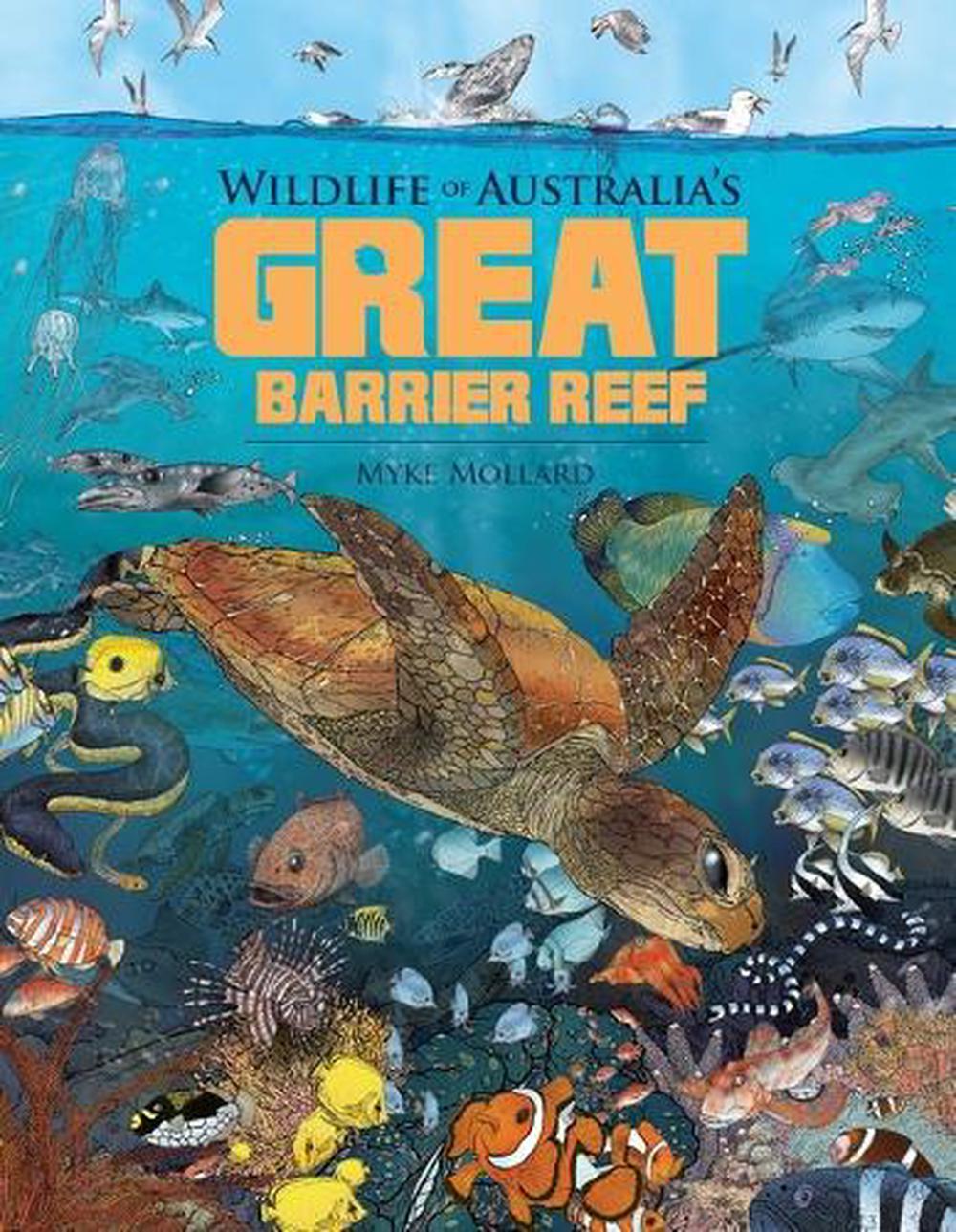 Wildlife of Australia's Great Barrier Reef, 9781922800367
