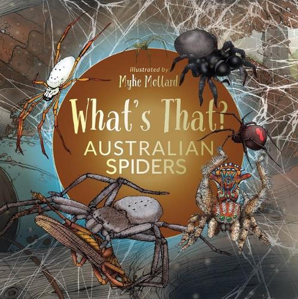 What's That? Australian Spiders, 9781922800947