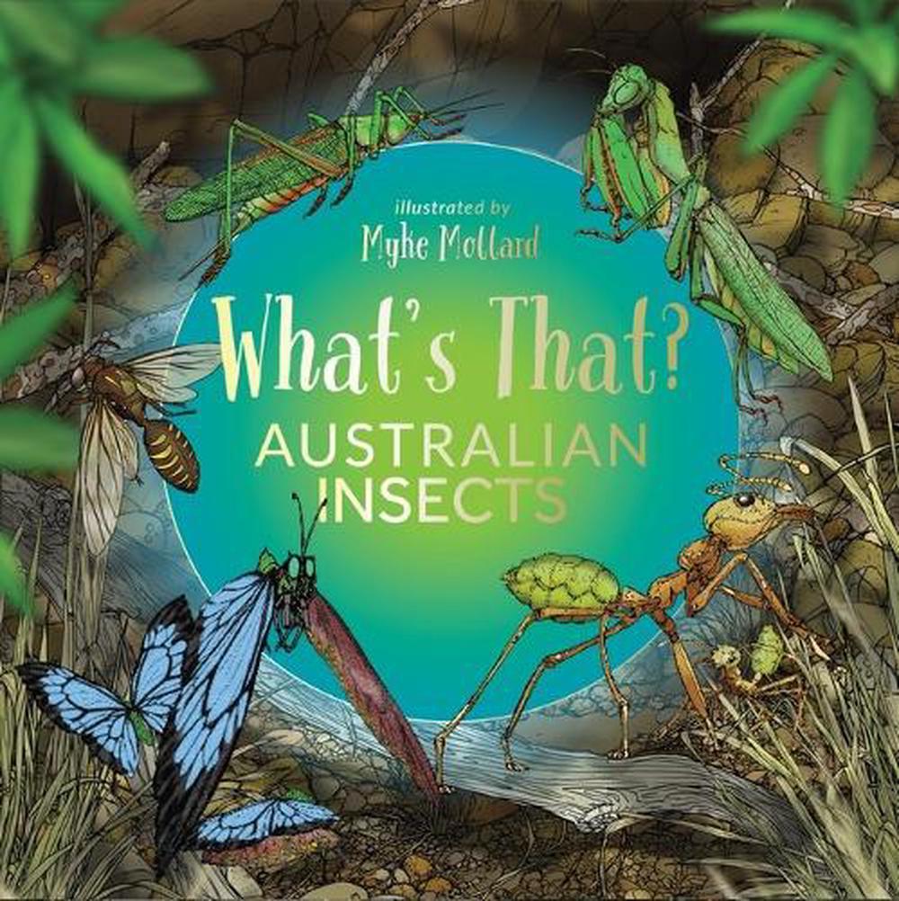 What's That? Australian Insects, 9781922800954