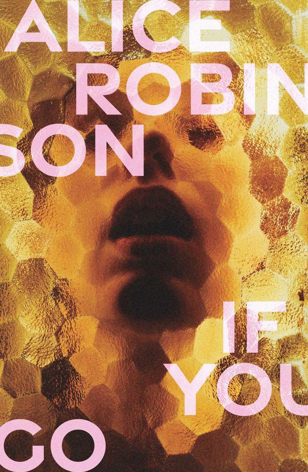 If You Go by Alice Robinson - ISBN: 9781923022836