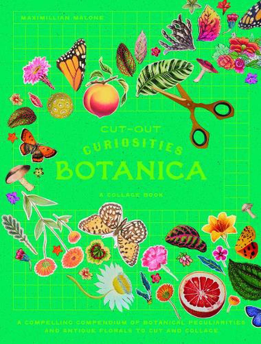 Cut-out Curiosities: Botanica by Maximillian Malone - ISBN: 9781923049925