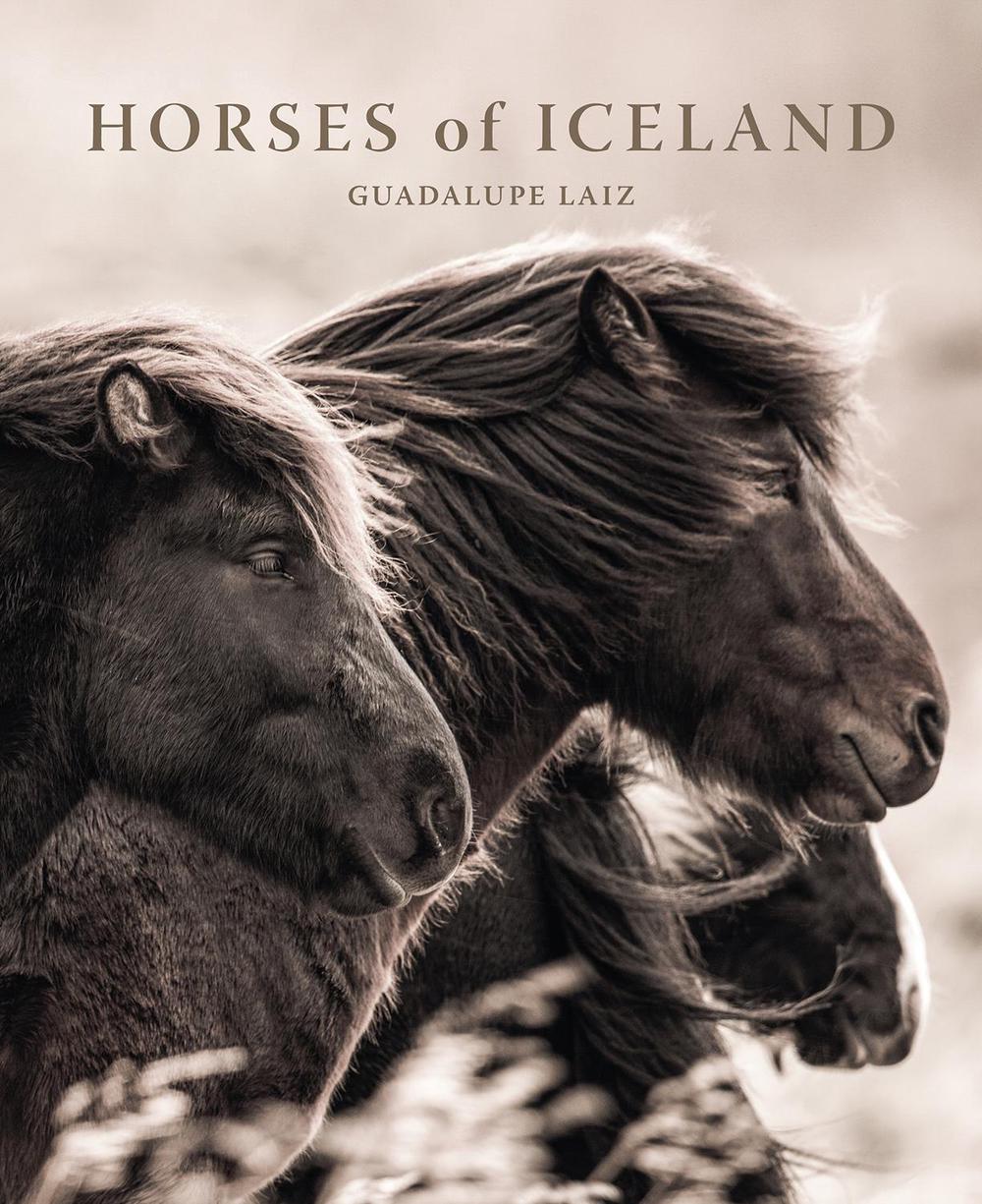 Horses of Iceland by Guadalupe Laiz - ISBN: 9781923094000