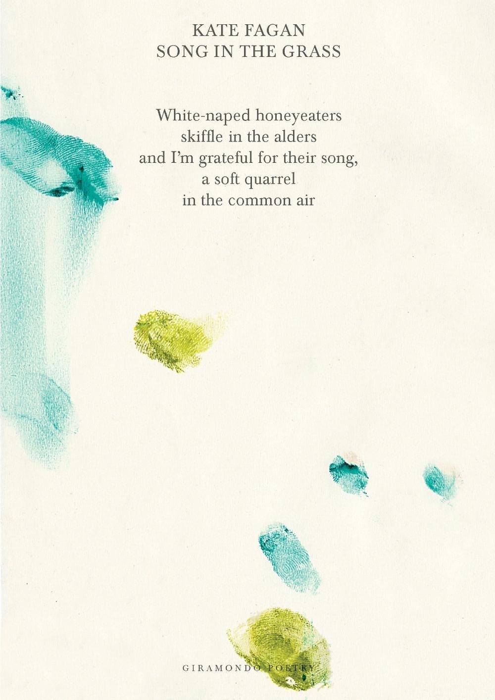 Song in the Grass by Kate Fagan - ISBN: 9781923106048