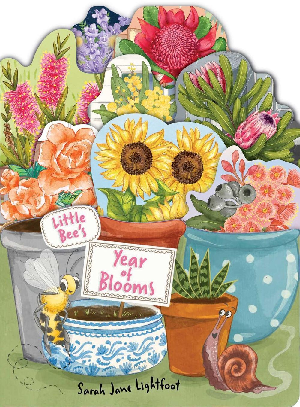 Little Bee's Year of Blooms by Sarah Jane Lightfoot - ISBN: 9781923293502