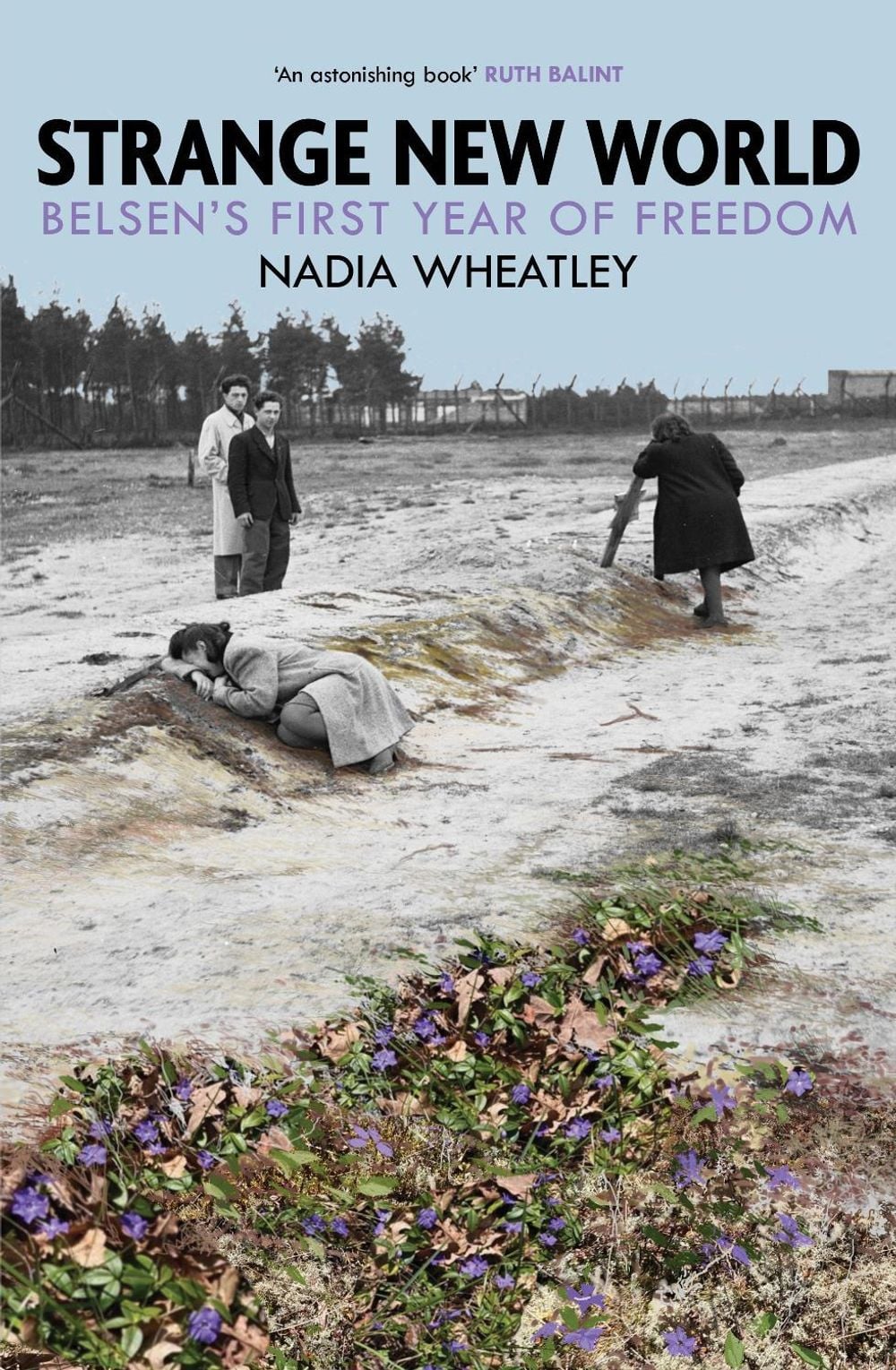 Strange New World by Nadia Wheatley - ISBN: 9781923451445
