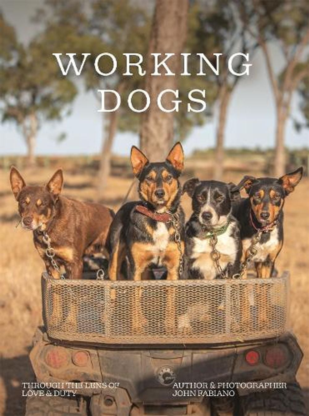Working Dogs by John Fabiano - ISBN: 9781923503496