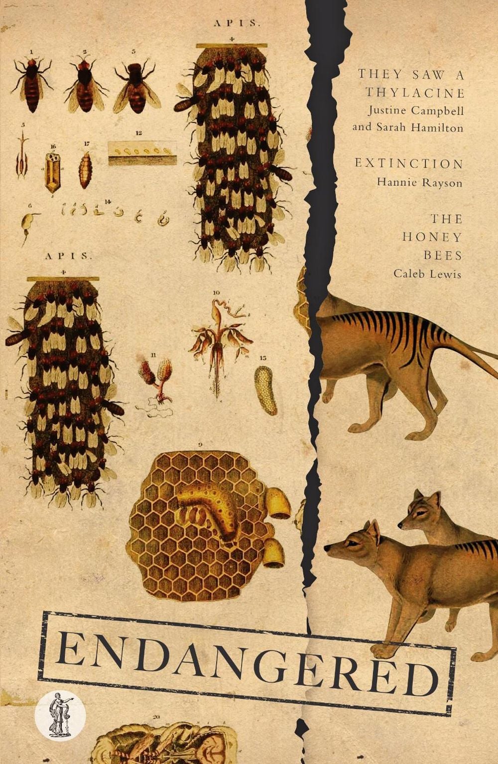 Endangered: Three Plays by Sarah Hamilton - ISBN: 9781925005875