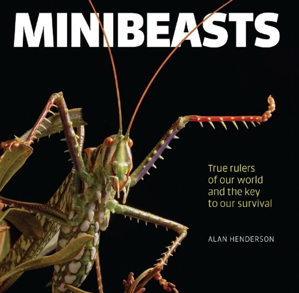 Minibeasts by Alan Henderson - ISBN: 9781925335842