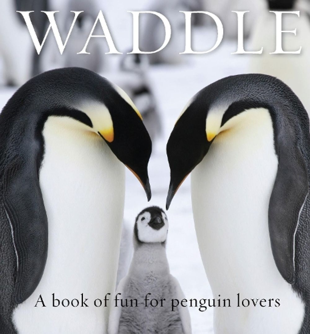Waddle by Lloyd Spencer Davis - ISBN: 9781925335910