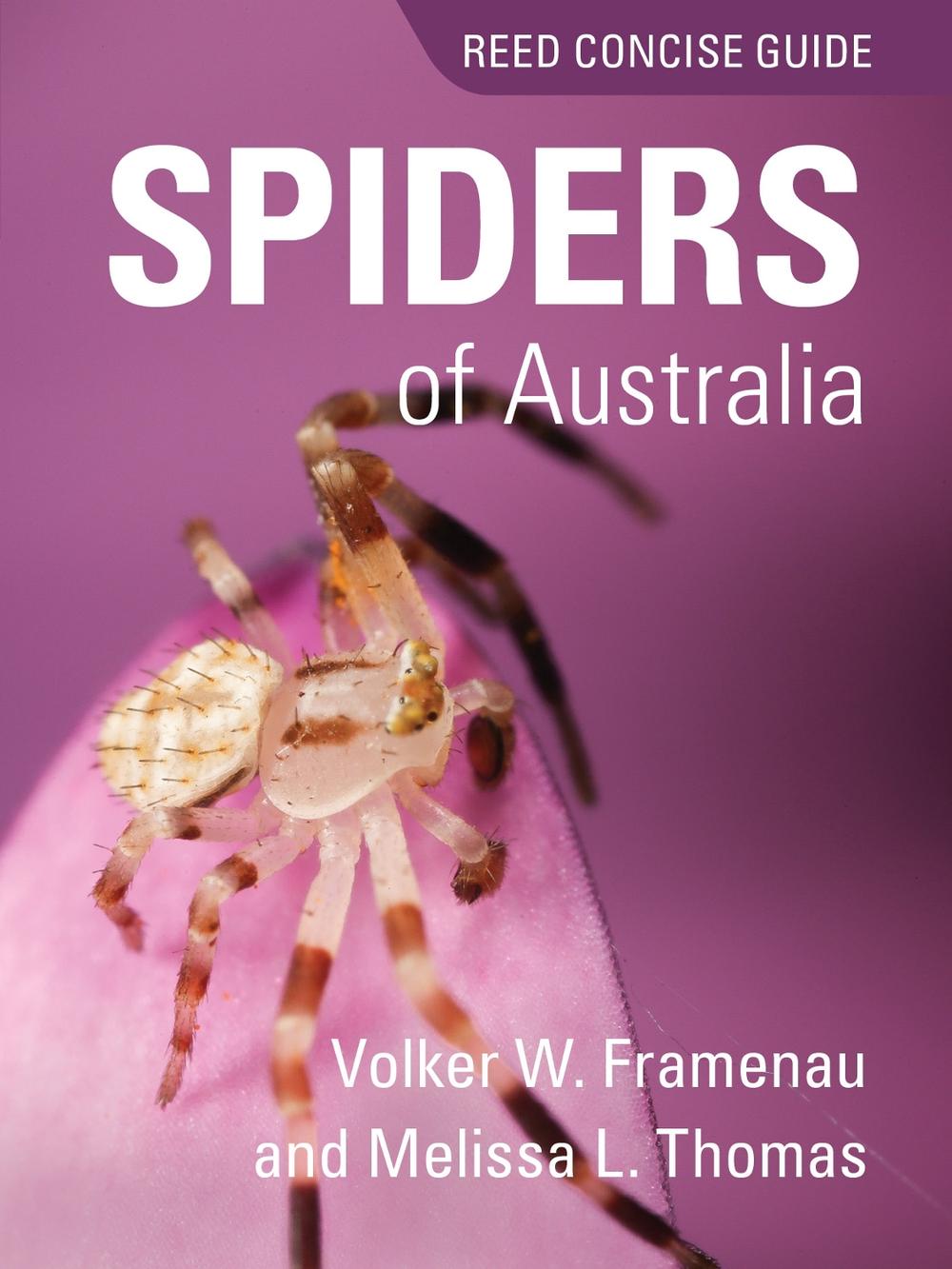 REED CONCISE GUIDE SPIDERS OF AUSTRALIA, 9781925546033