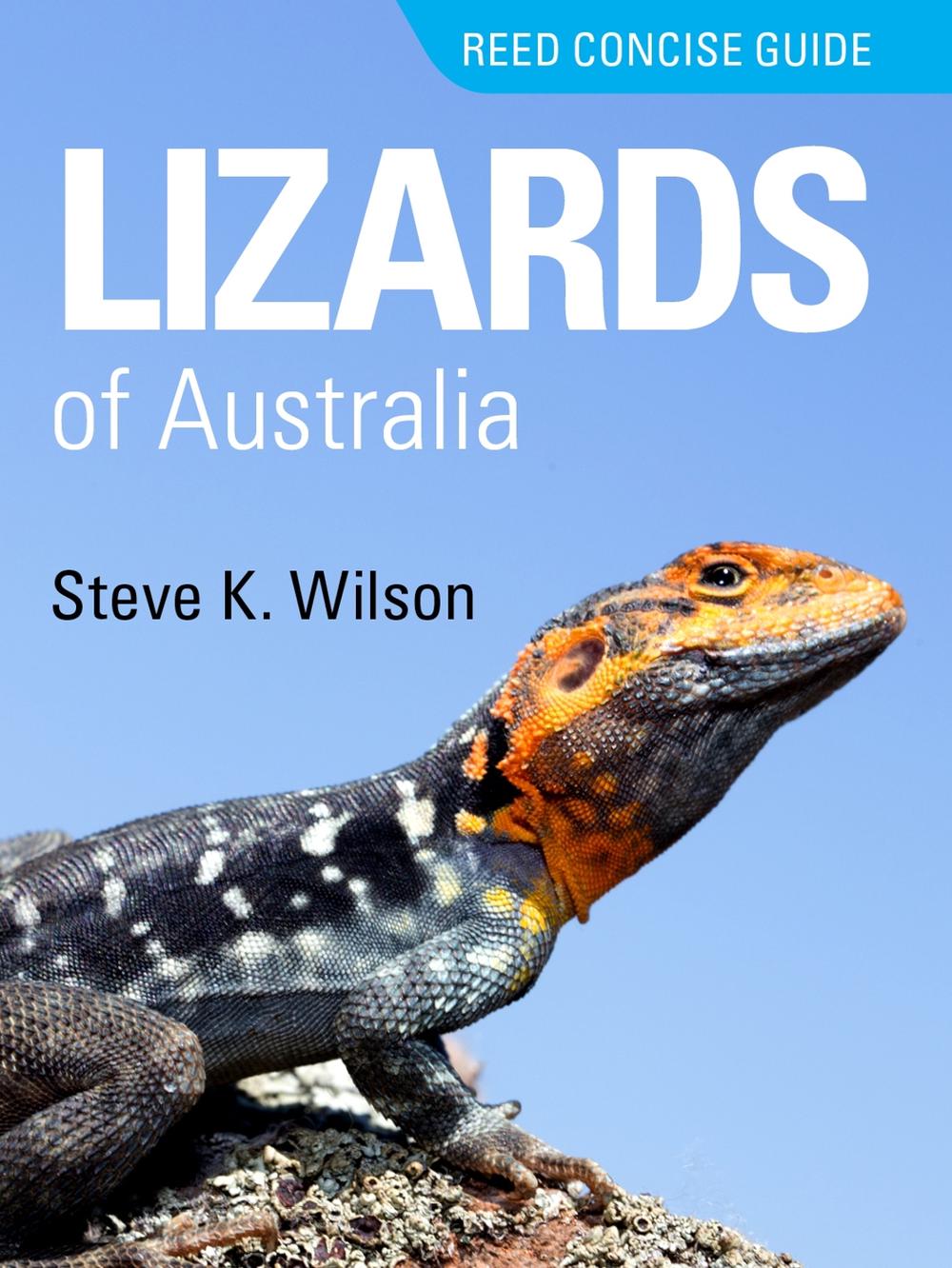 Reed Concise Guide Lizards of Australia, 9781925546576
