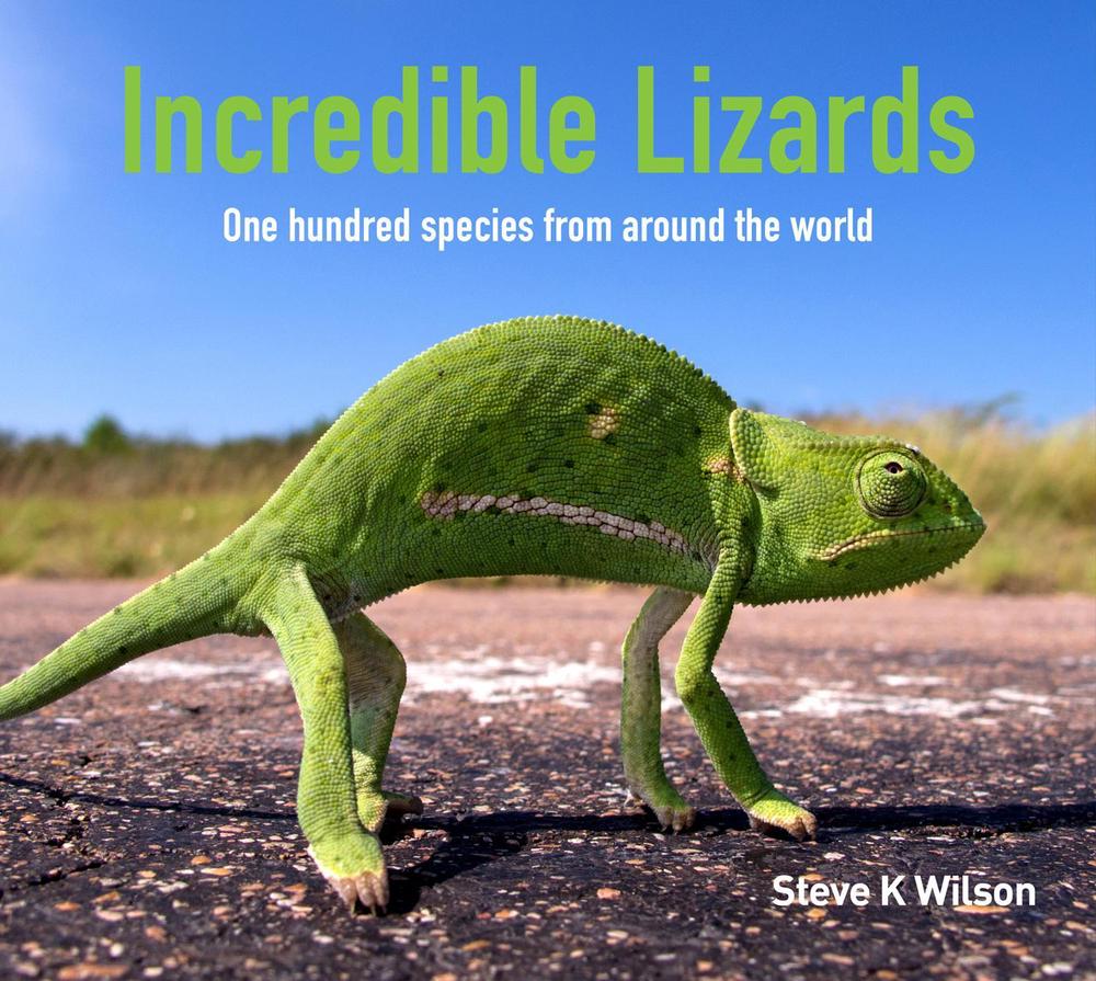 Incredible Lizards, 9781925546989