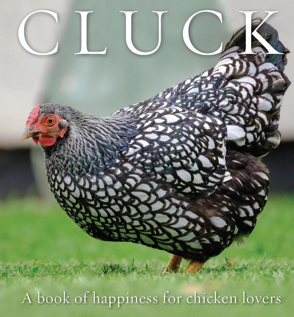 Cluck by Freya Haanen - ISBN: 9781925820478