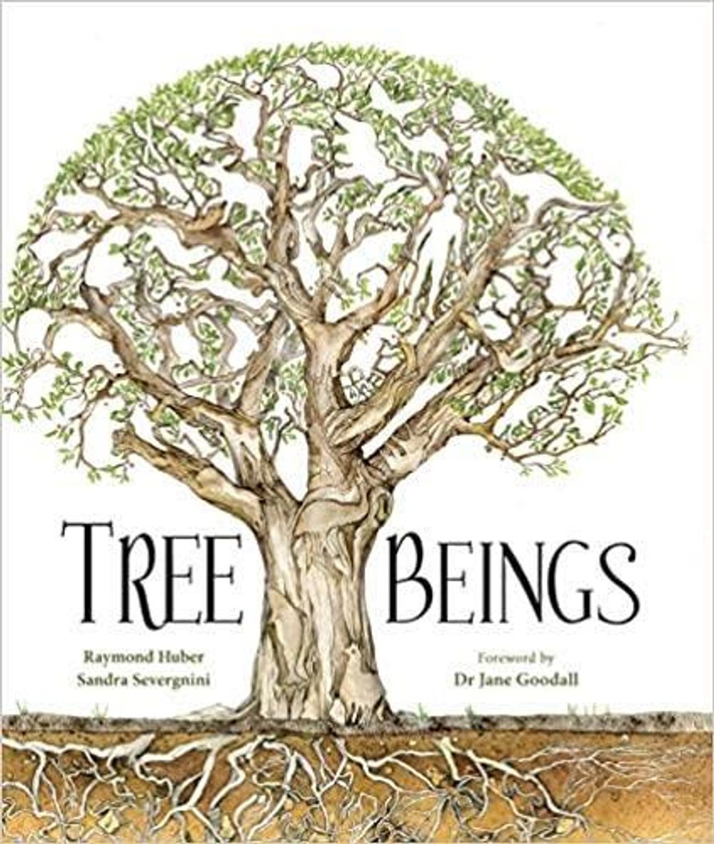 Tree Beings by Raymond Huber - ISBN: 9781925820539