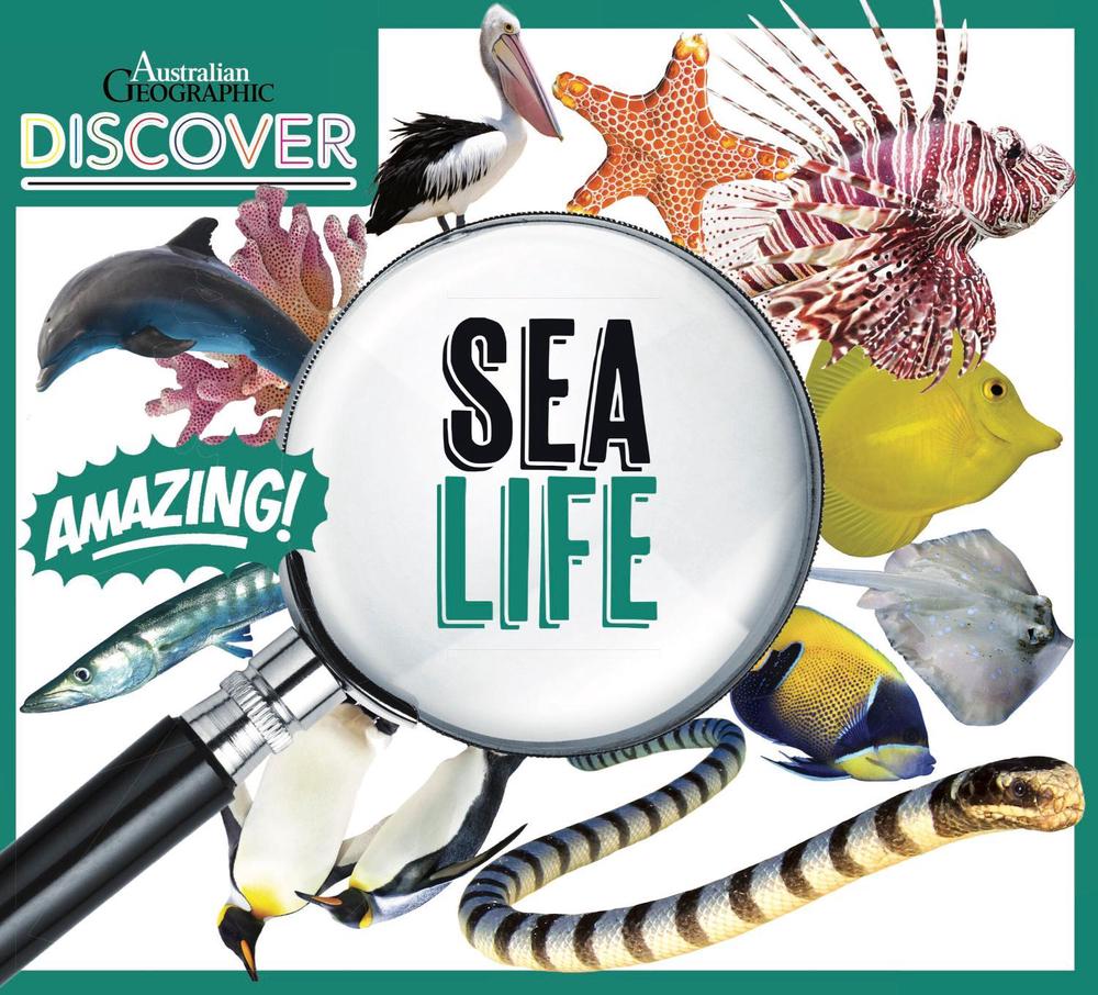 AG Discover: Sea Life, 9781925847765