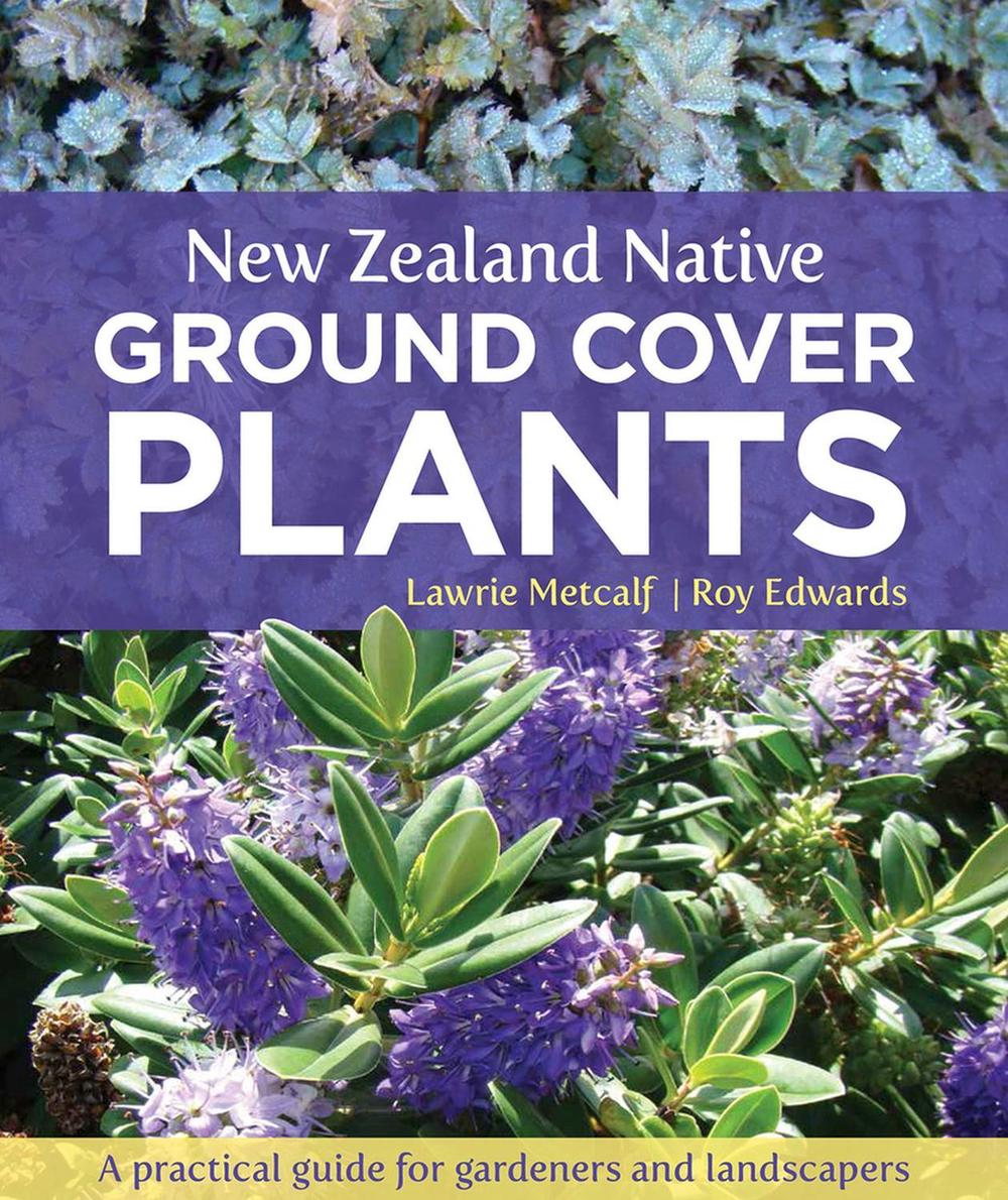 New Zealand Native Ground Cover Plants by Lawrie Metcalf, Paperback