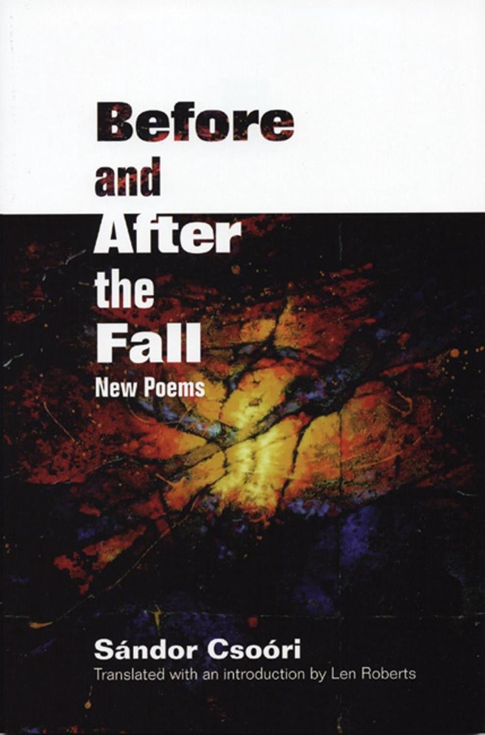 Before and After the Fall by Len Roberts - ISBN: 9781929918461