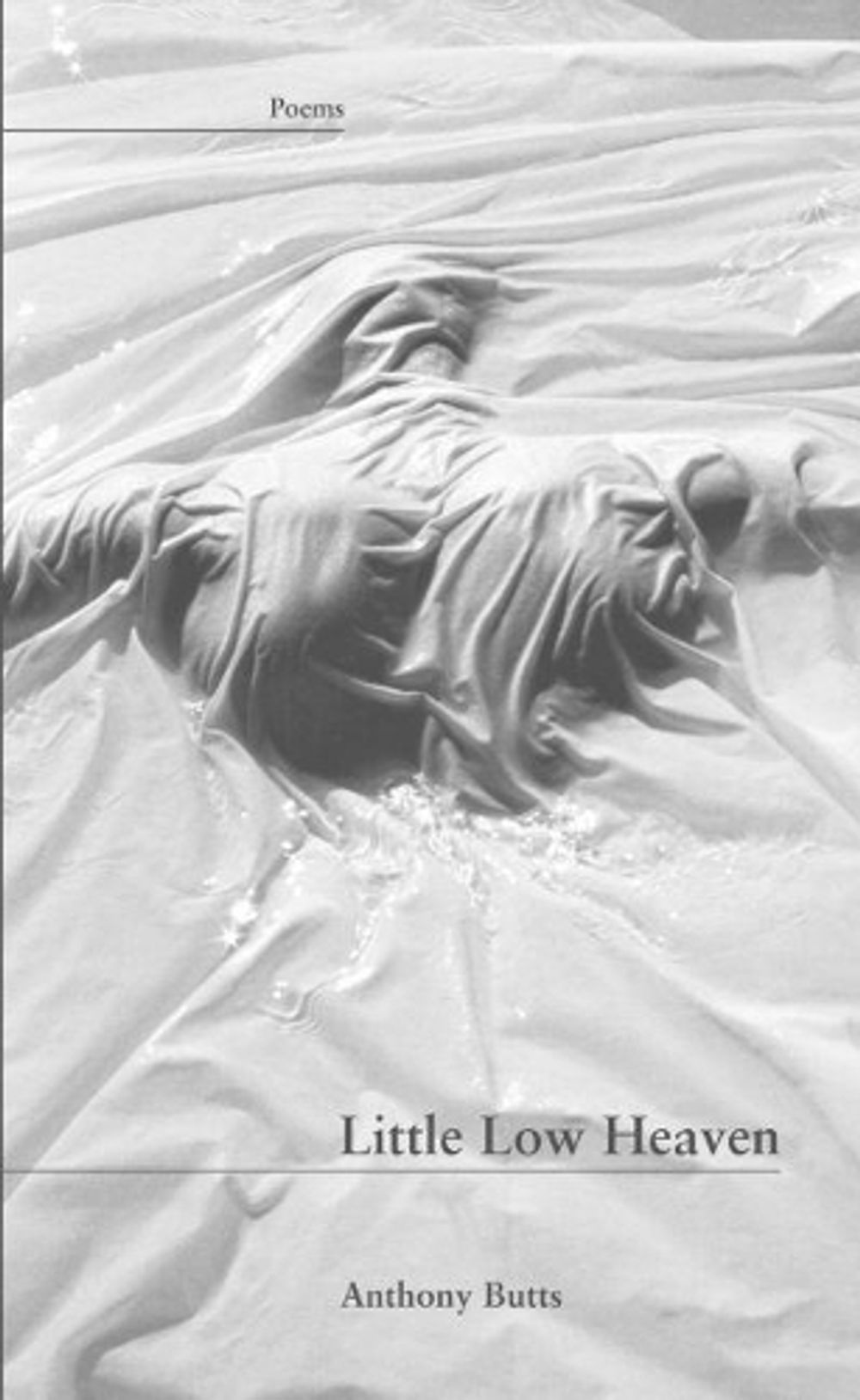 Little Low Heaven by Anthony Butts - ISBN: 9781930974265