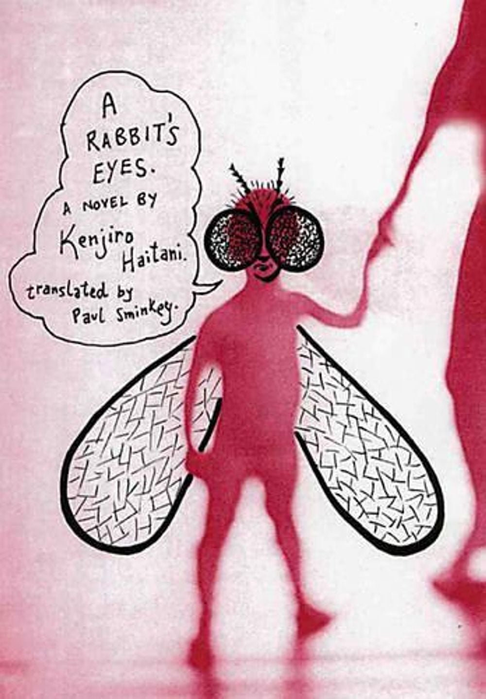 A Rabbit's Eyes by Kenjiro Haitani - ISBN: 9781932234213