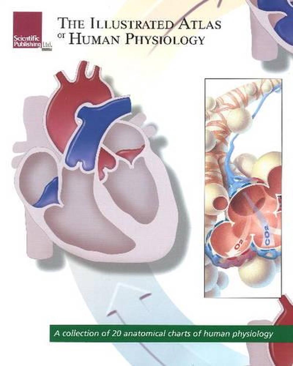 Human　Collection　Charts　by　Scientific　9781932922981　of　of　Atlas　The　Publishing,　at　online　Anatomical　Illustrated　20　Paperback,　Buy　Physiology　The　Nile　A　of　Physiology:　Human