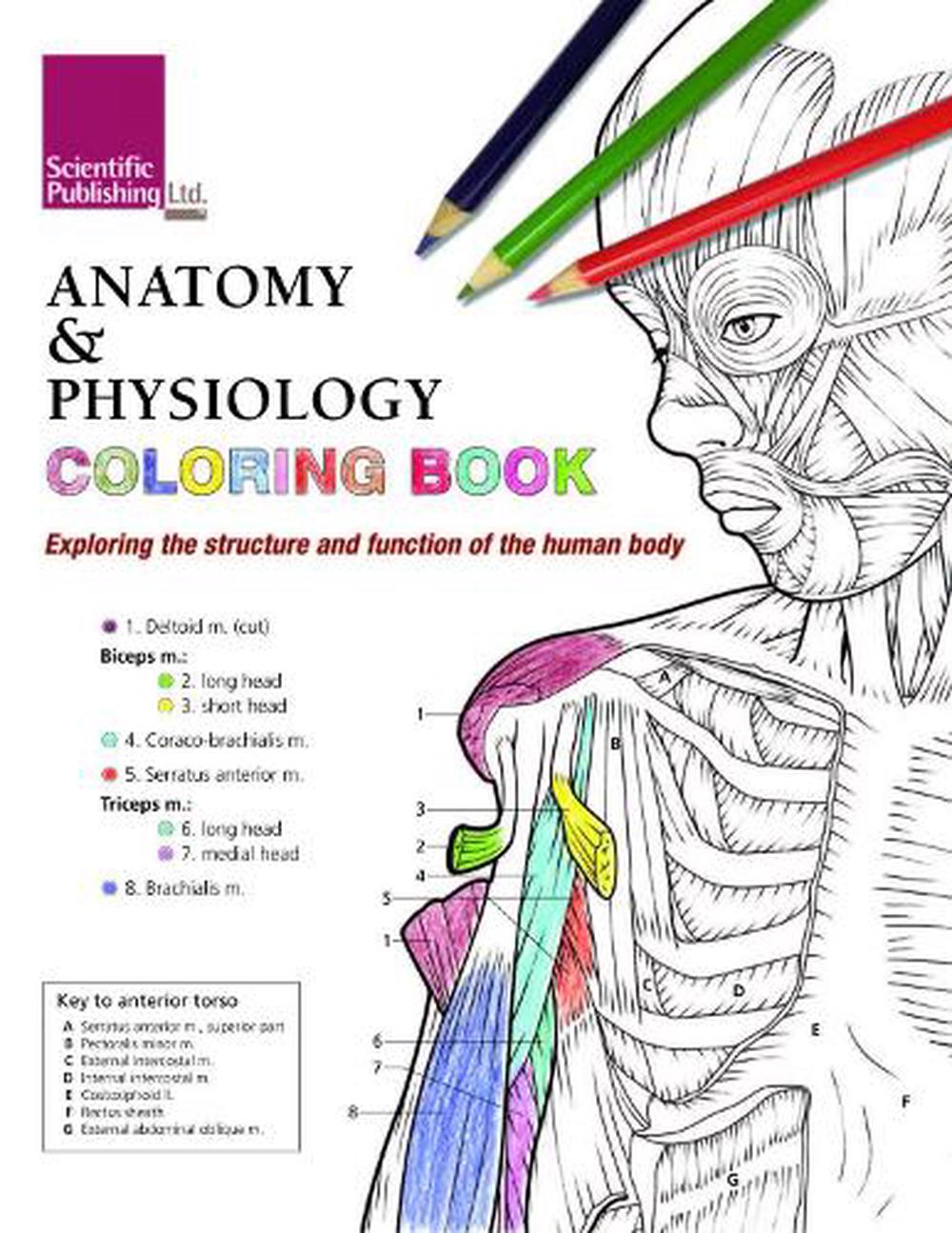 Anatomy & Physiology Colouring Book by Scientific Publishing, Paperback