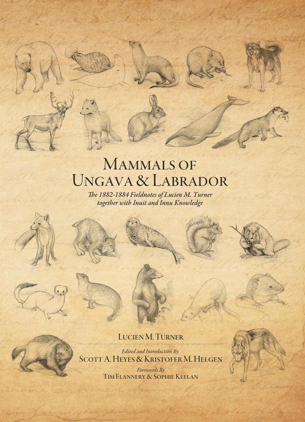 Mammals of Ungava and Labrador by Scott A. Heyes - ISBN: 9781935623212