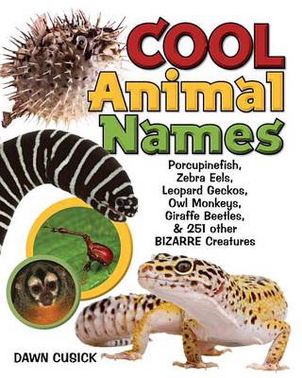 Cool Animal Names by Dawn Cusick, Hardcover, 9781936140398 Buy online