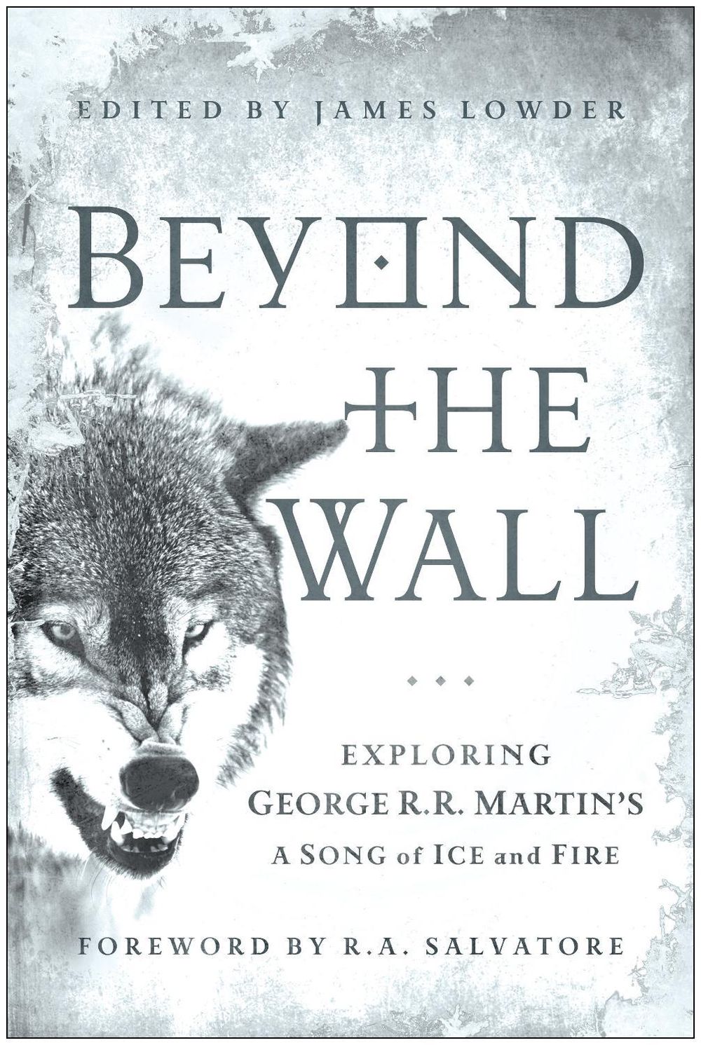 Beyond the Wall by James Lowder - ISBN: 9781936661749