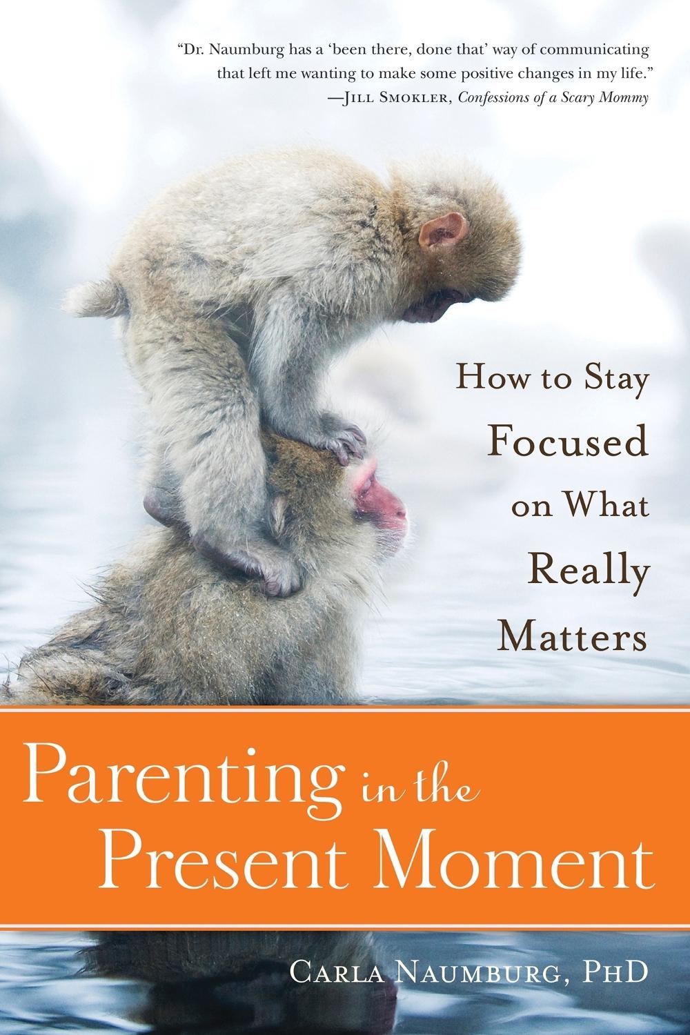 Parenting in the Present Moment by Carla Naumburg - ISBN: 9781937006839